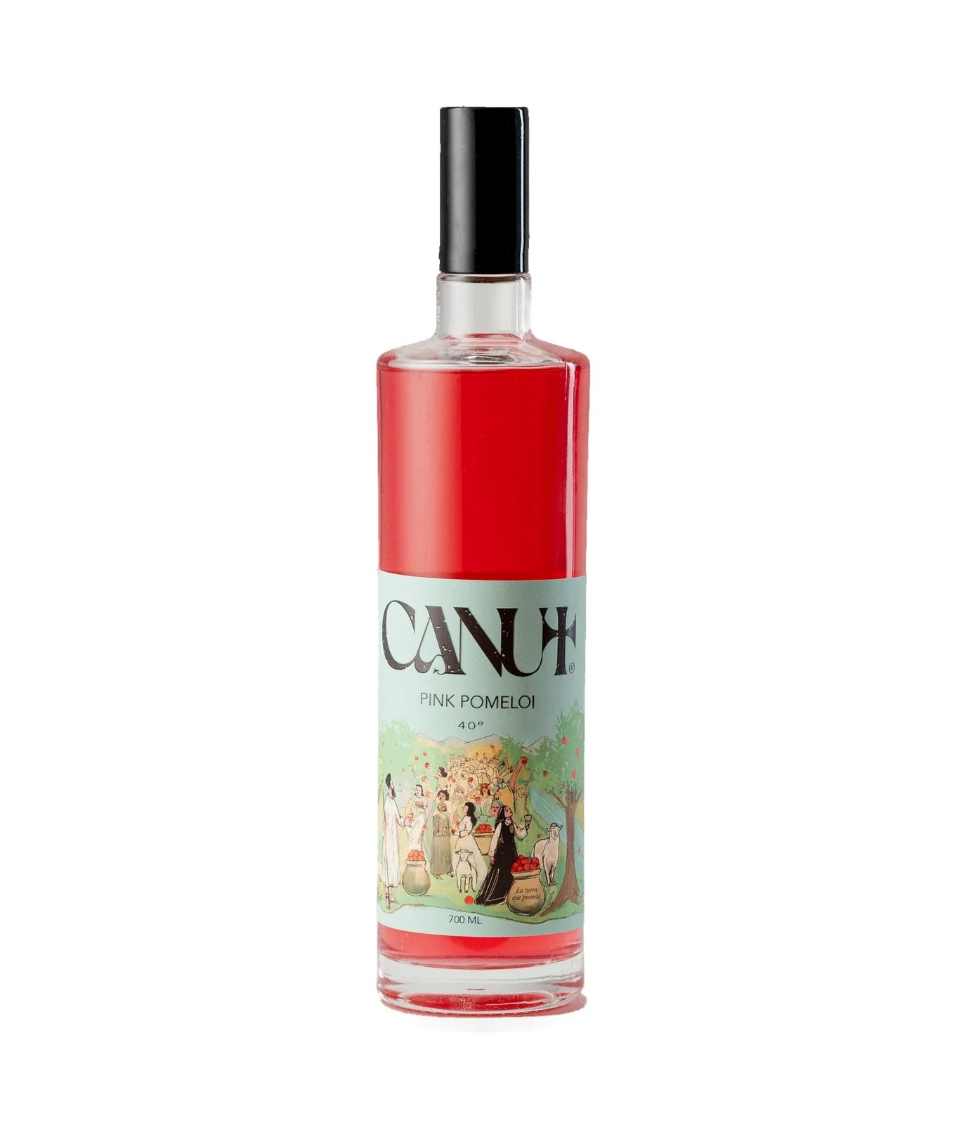 Pink Pomelo 700 ml